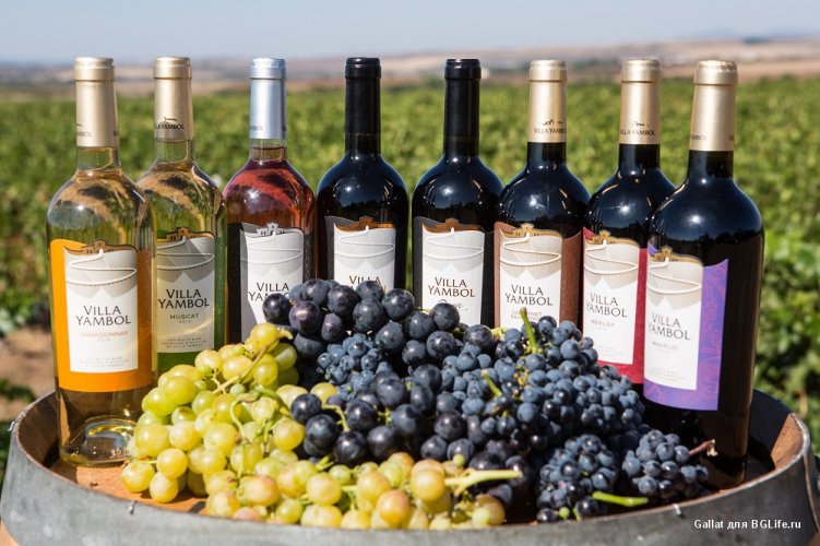 Болгария на 13-м месте в топе мировых винных направлений