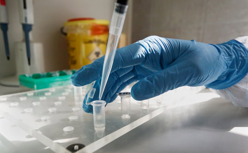 Корея может стать поставщиком PCR тестов в Болгарию 