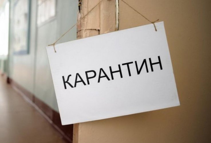 Болгарская полиция установила, что 91 человек с коронавирусом нарушил карантин