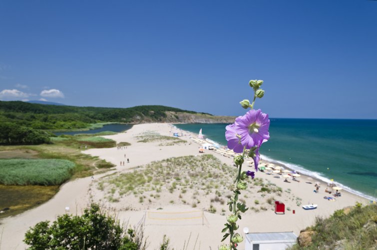 На болгарских пляжах у моря можно будет отдыхать с 1.06
