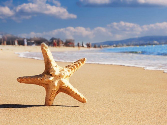 На 23-х болгарских пляжах лежаки и зонты дадут в аренду бесплатно