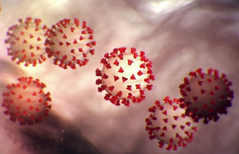 В Болгарии еще 6 человек заразилось коронавирусом